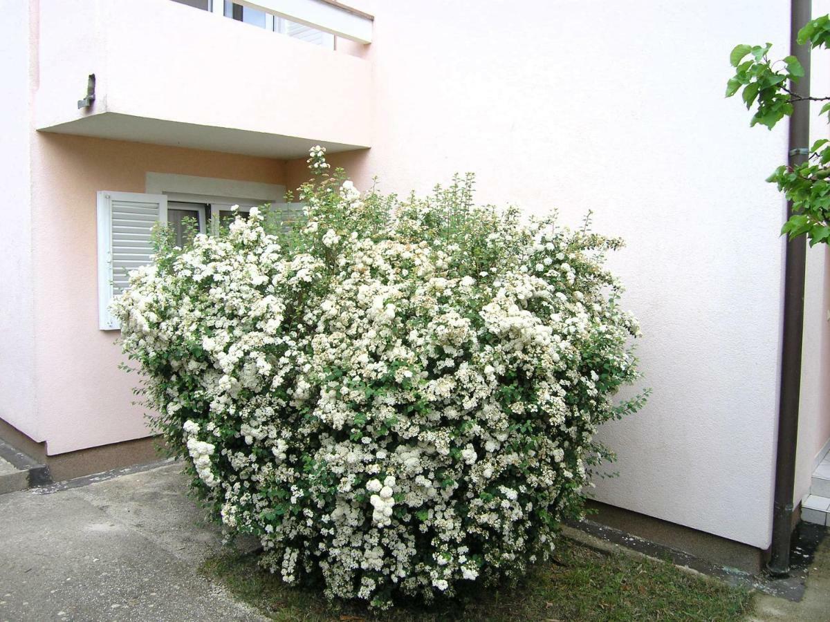 Apartments Sokolovic Veglia Exterior foto
